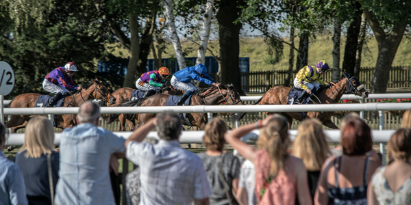 Crowd and horses